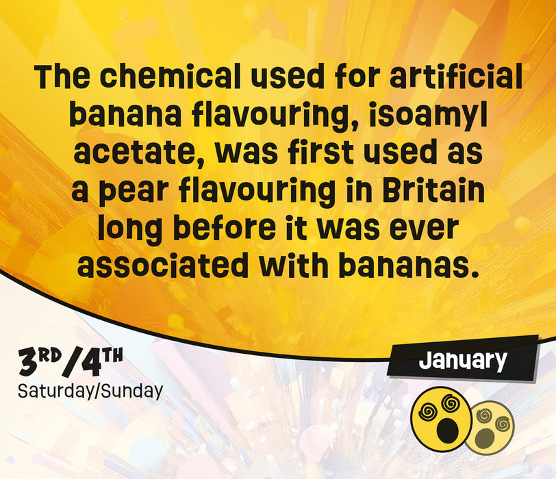 WTF Weird True Facts 2026 Page-A-Day Calendar