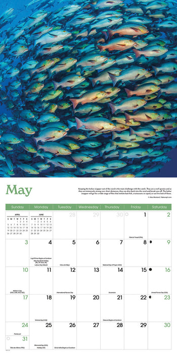 Gone Fishing 2026 Square Wall Calendar