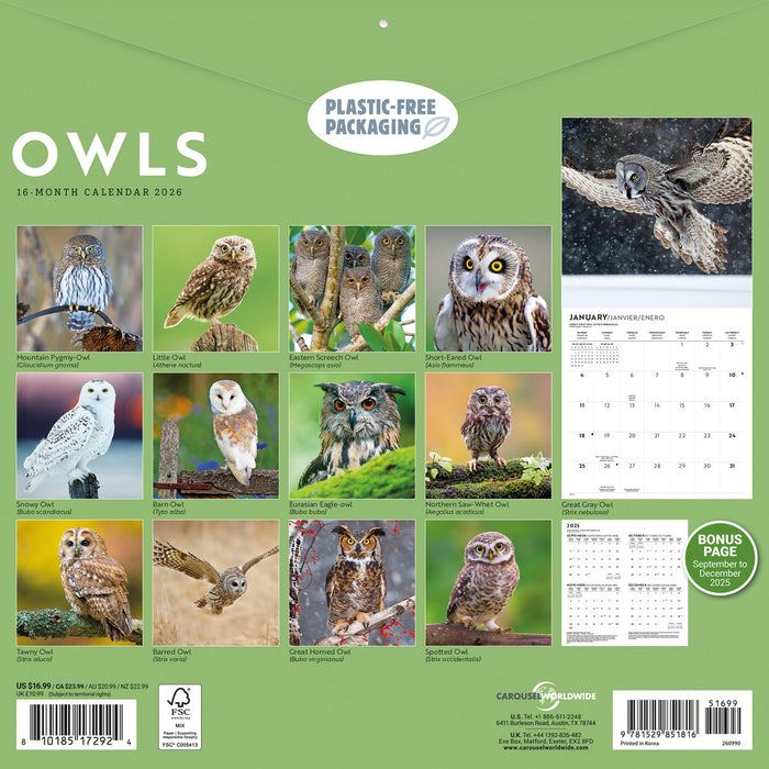Owls 2026 Square Wall Calendar