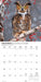Owls 2026 Square Wall Calendar