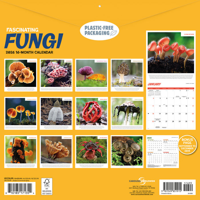 Fascinating Fungi 2026 Square Wall Calendar