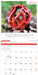 Fascinating Fungi 2026 Square Wall Calendar