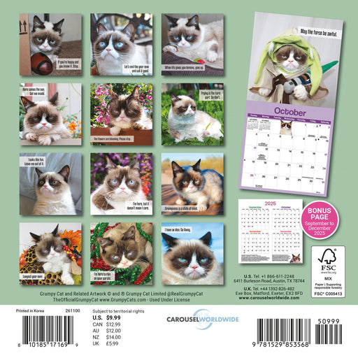 Grumpy Cat 2026 Mini Wall Calendar