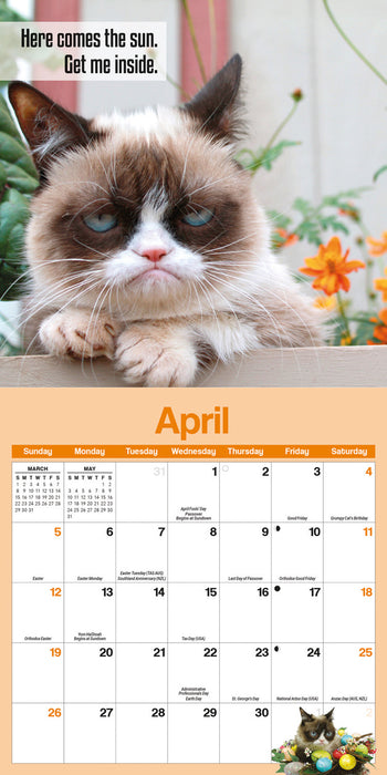 Grumpy Cat 2026 Mini Wall Calendar