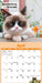 Grumpy Cat 2026 Mini Wall Calendar