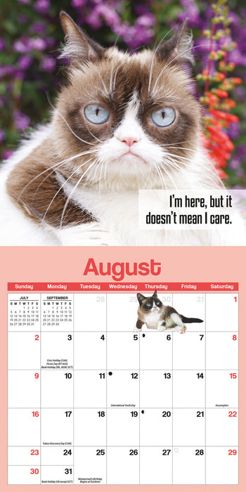 Grumpy Cat 2026 Mini Wall Calendar