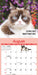 Grumpy Cat 2026 Mini Wall Calendar