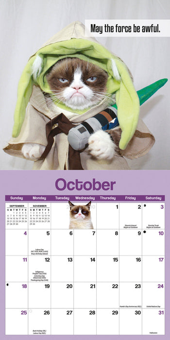 Grumpy Cat 2026 Mini Wall Calendar