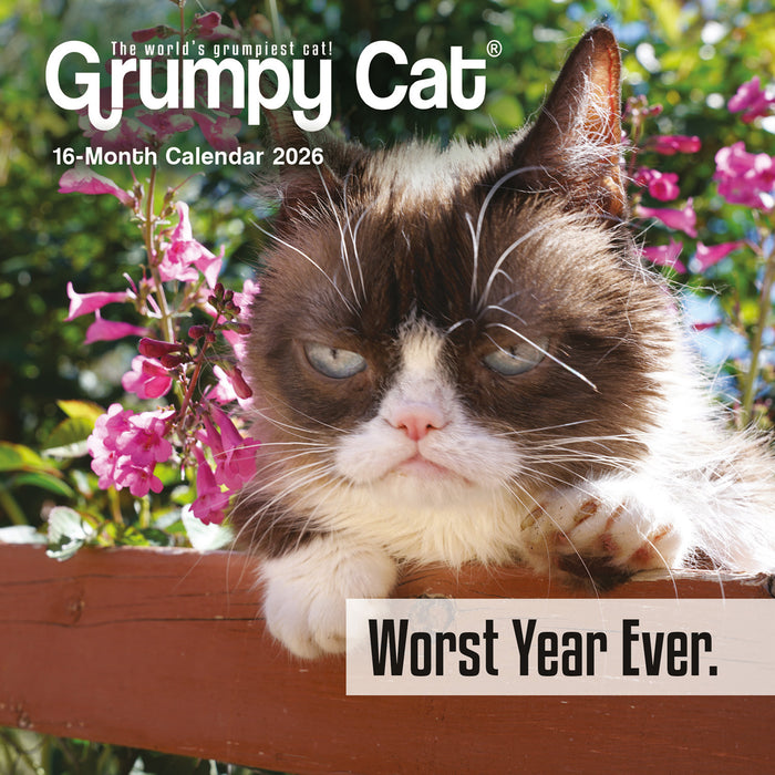 Grumpy Cat 2026 Mini Wall Calendar
