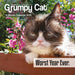Grumpy Cat 2026 Mini Wall Calendar