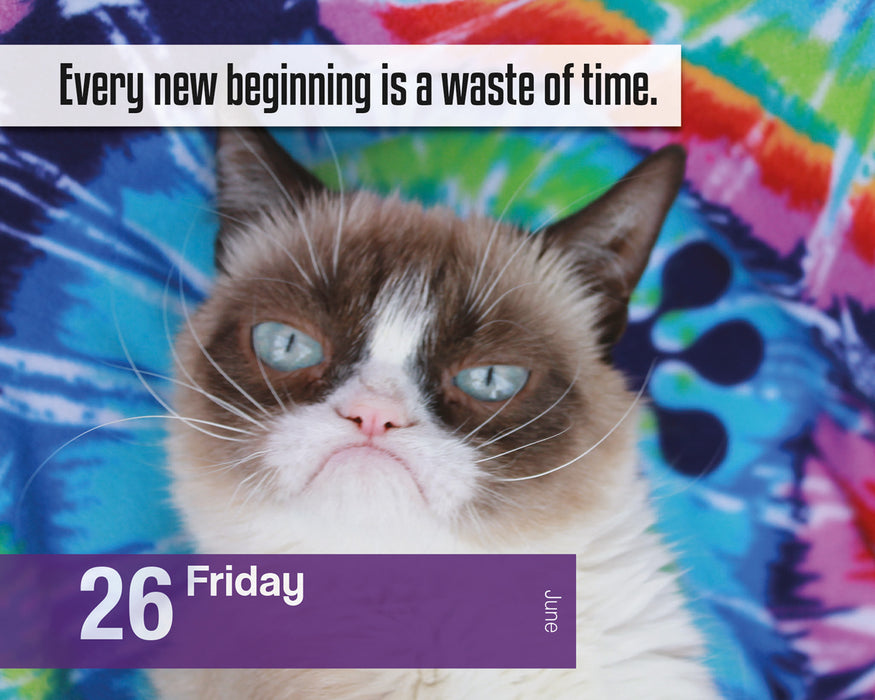 Grumpy Cat 2026 Page-A-Day Calendar