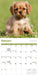 Puppies 2027 Mini Wall Calendar