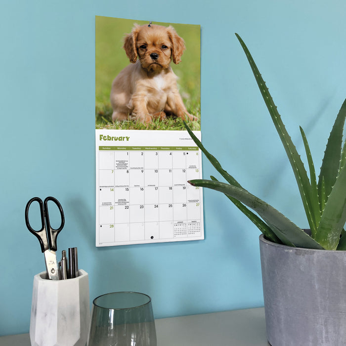 Puppies 2027 Mini Wall Calendar