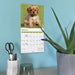 Puppies 2027 Mini Wall Calendar