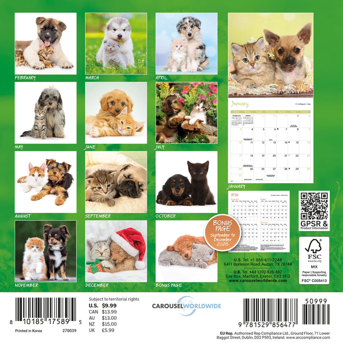 Kittens and Puppies 2027 Mini Wall Calendar
