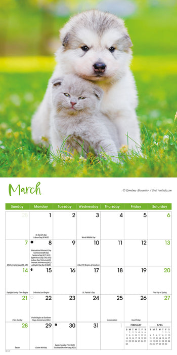 Kittens and Puppies 2027 Mini Wall Calendar
