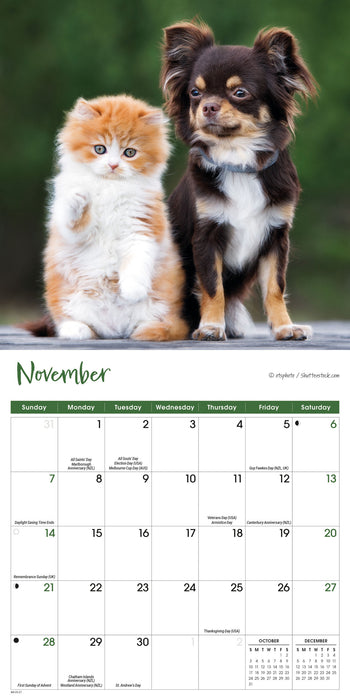 Kittens and Puppies 2027 Mini Wall Calendar