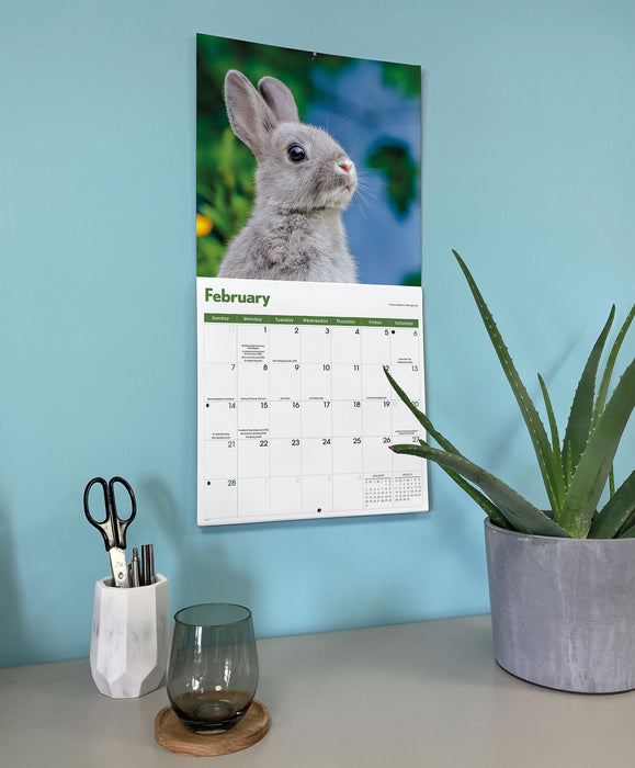 Rabbits 2027 Square Wall Calendar