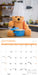 Teddy Bears 2027 Square Wall Calendar