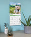 Teddy Bears 2027 Square Wall Calendar