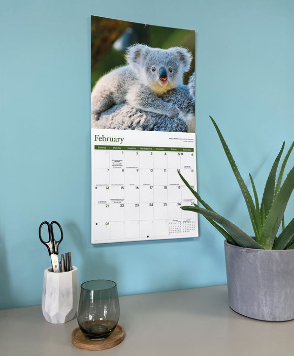 Baby Animals 2027 Square Wall Calendar