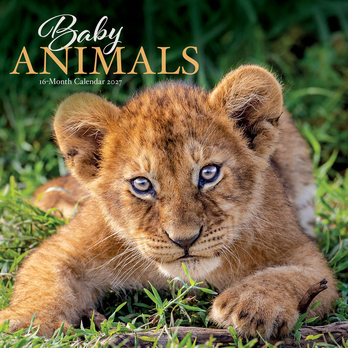 Baby Animals 2027 Square Wall Calendar