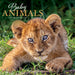 Baby Animals 2027 Square Wall Calendar