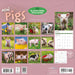 Mini Pigs 2027 Square Wall Calendar