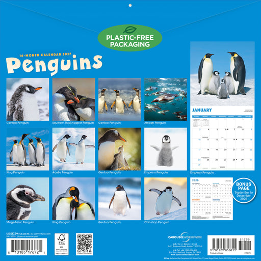 Penguins 2027 Square Wall Calendar