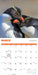 Penguins 2027 Square Wall Calendar