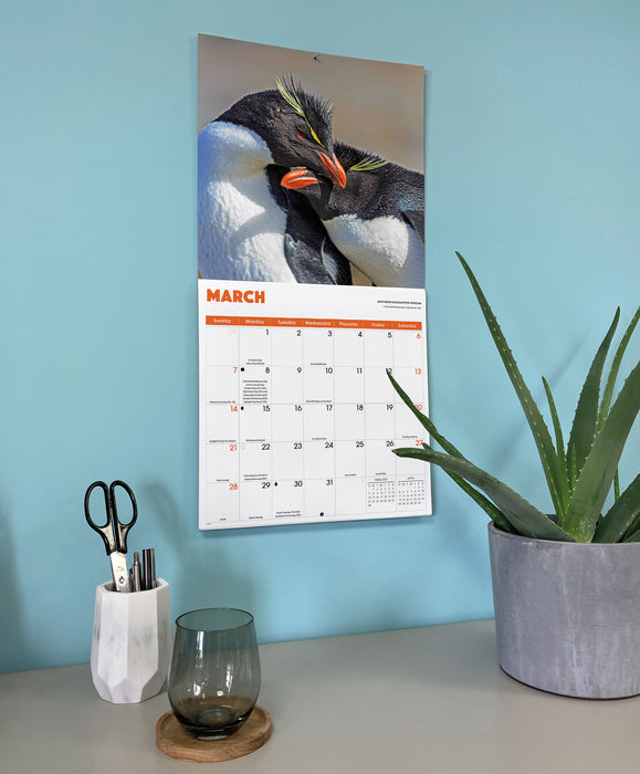 Penguins 2027 Square Wall Calendar