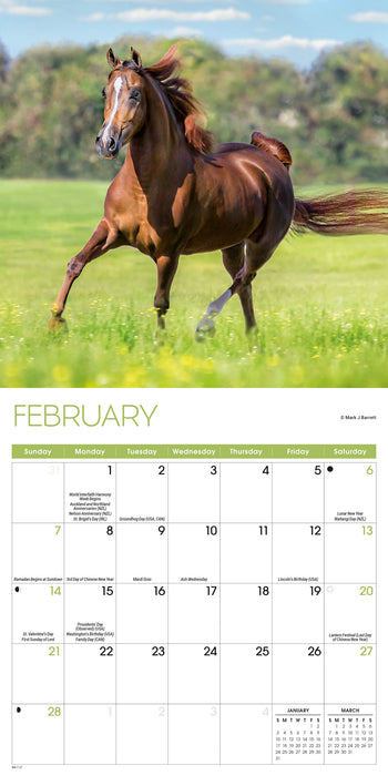 Horses 2027 Mini Wall Calendar
