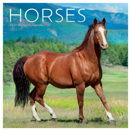 Horses 2027 Mini Wall Calendar
