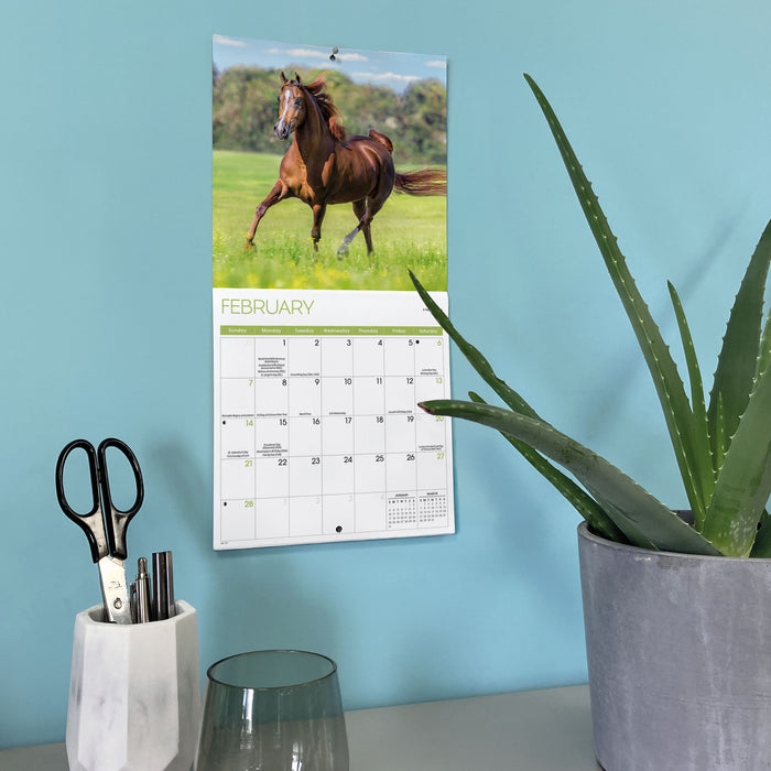 Horses 2027 Mini Wall Calendar
