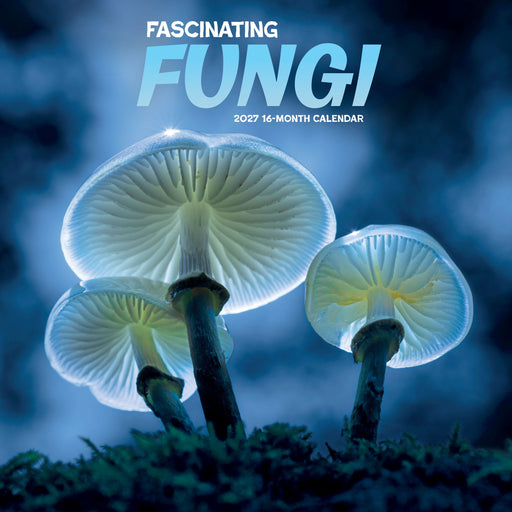 Fascinating Fungi 2027 Square Wall Calendar