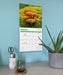 Fascinating Fungi 2027 Square Wall Calendar