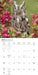 Owls 2027 Square Wall Calendar