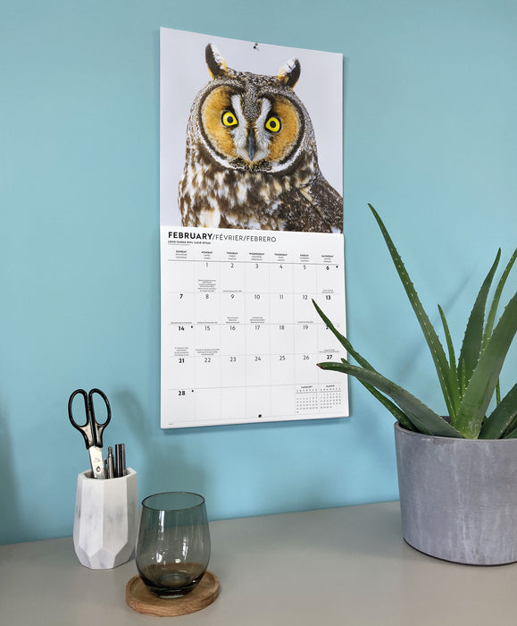 Owls 2027 Square Wall Calendar