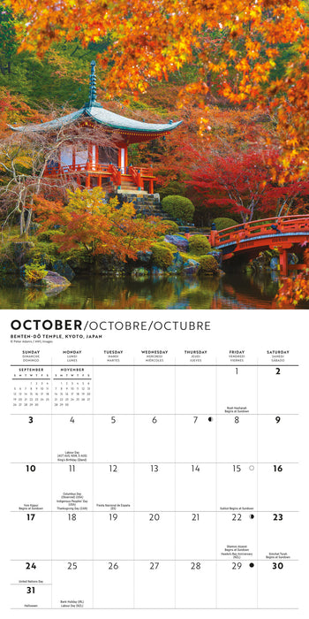Passport to the World 2027 Mini Wall Calendar