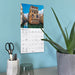 Passport to the World 2027 Mini Wall Calendar
