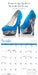 Shoes 2027 Mini Wall Calendar