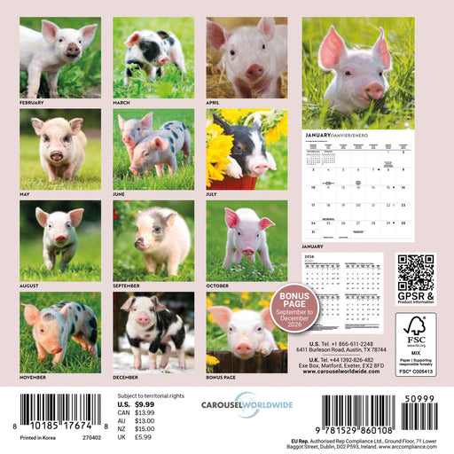 Piglets 2027 Mini Wall Calendar