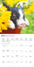Piglets 2027 Mini Wall Calendar