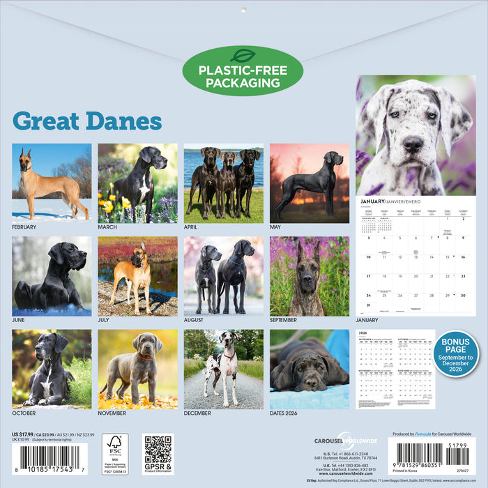 Great Danes 2027 Square Wall Calendar