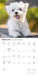 Maltese 2027 Square Wall Calendar