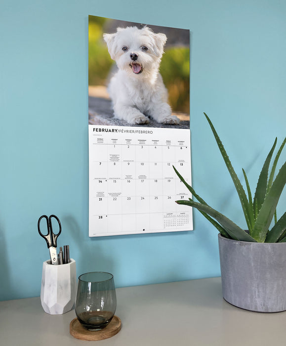 Maltese 2027 Square Wall Calendar