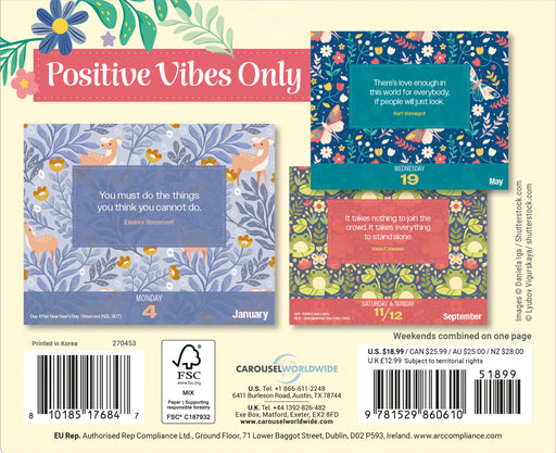 Positivity Vibes Only 2027 Page-A-Day Calendar