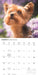 Yorkis 2027 Square Wall Calendar