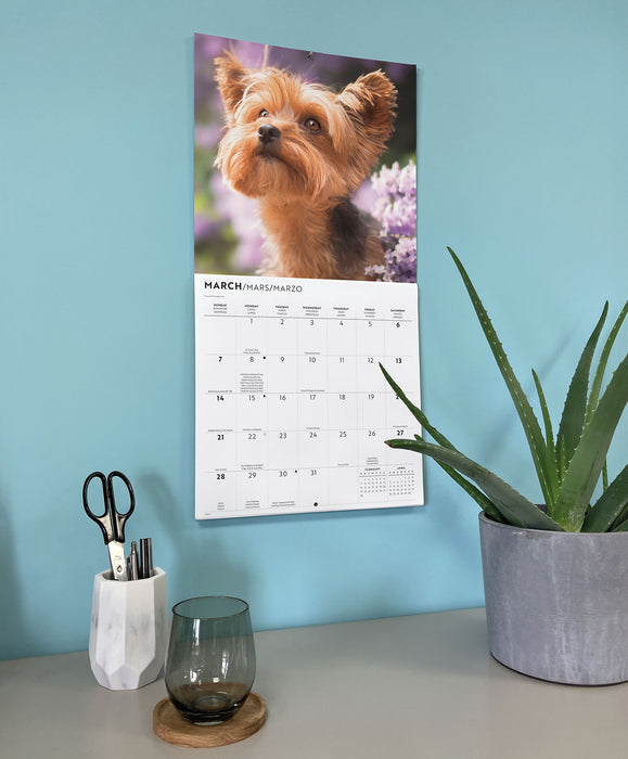 Yorkis 2027 Square Wall Calendar