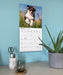 Australian Shepherds 2027 Square Wall Calendar